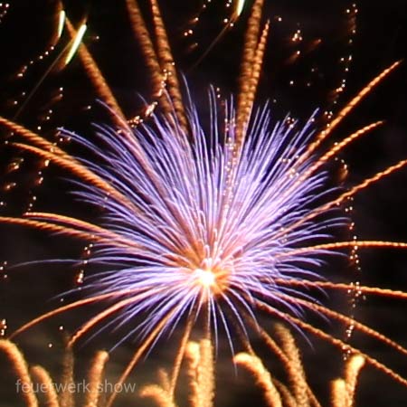 Feuerwerk Purpur